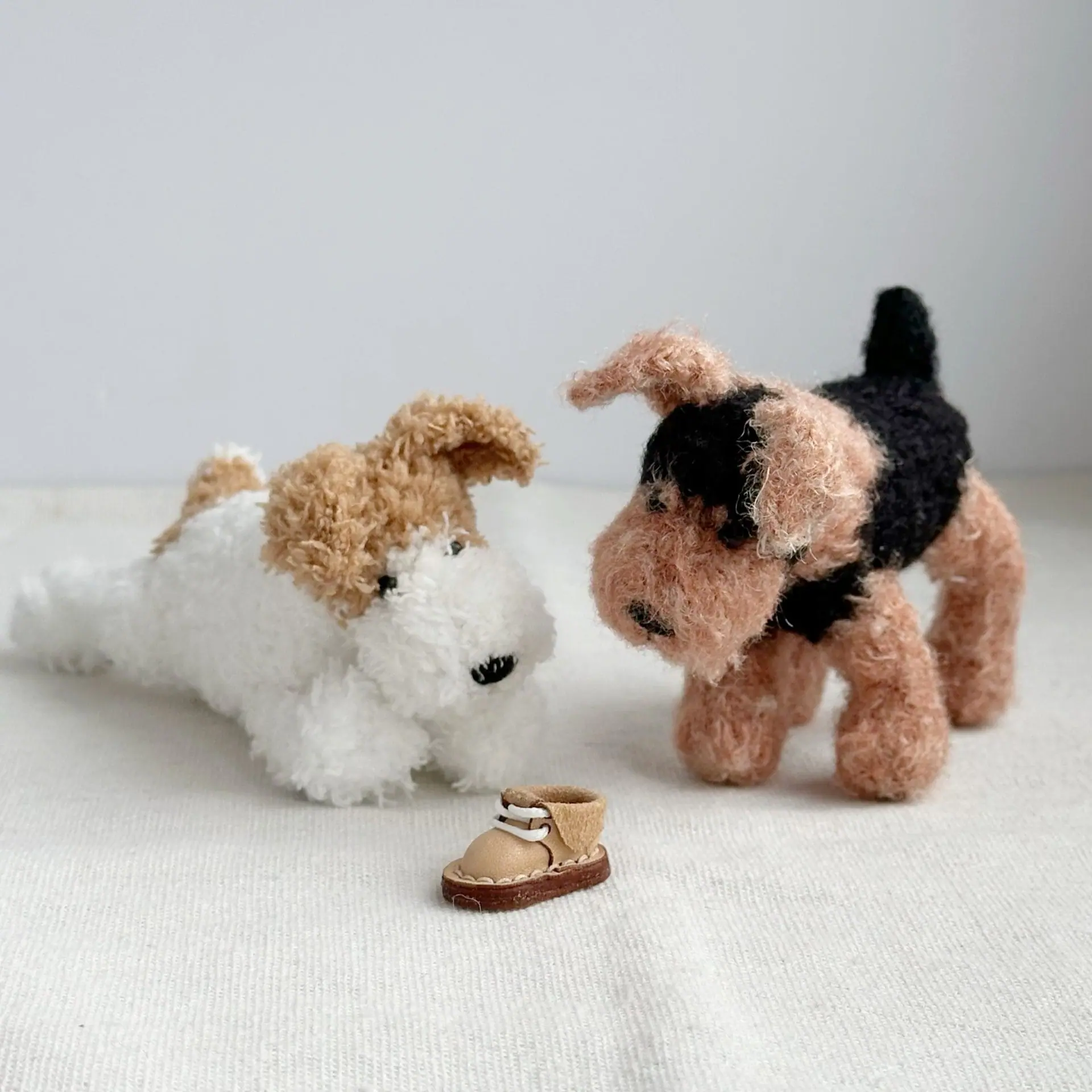 pet terrier