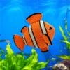 Crochet pattern for a clownfish amigurumi toy – handmade orange and white striped fish