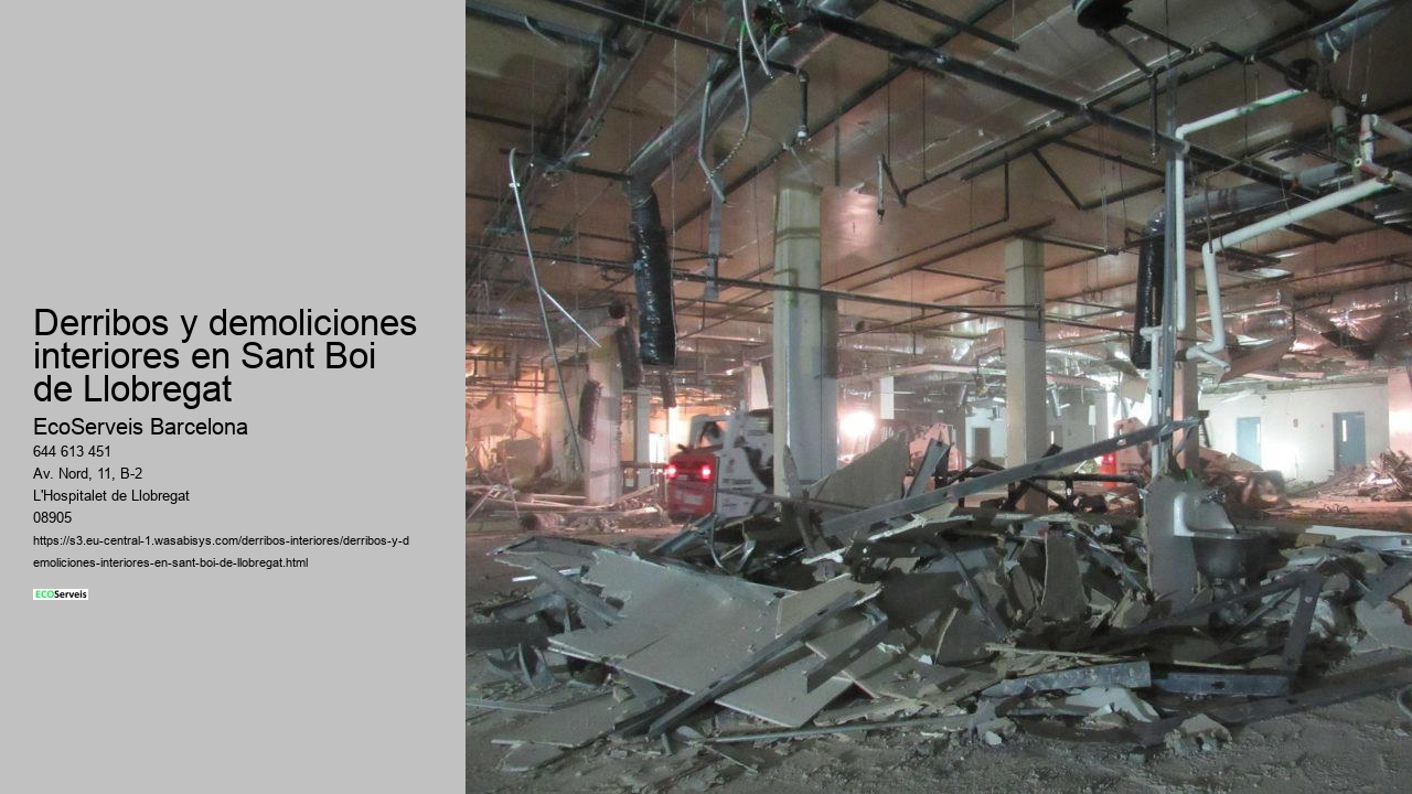 Derribos y demoliciones interiores en Sant Boi de Llobregat