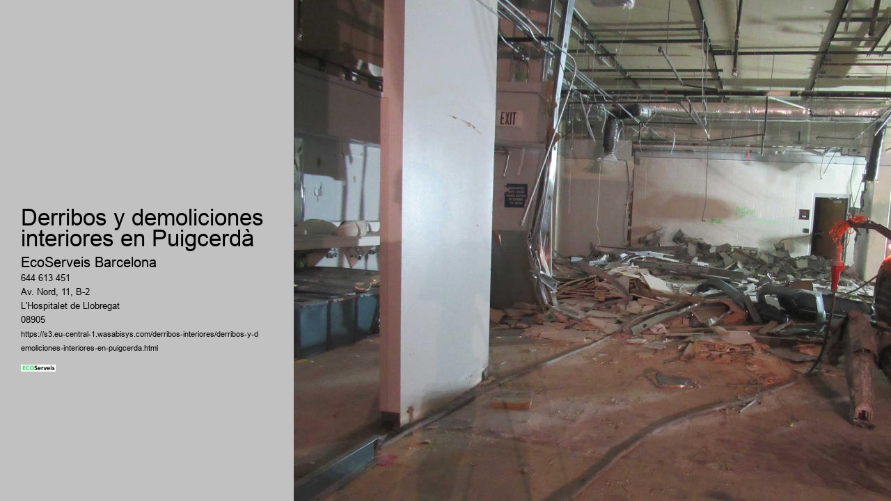 Derribos y demoliciones interiores en Puigcerdà