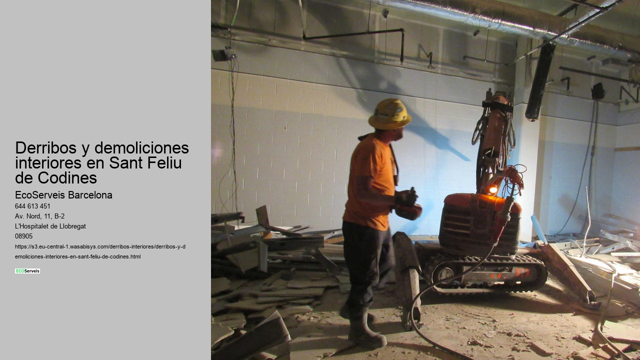 Derribos y demoliciones interiores en Sant Feliu de Codines