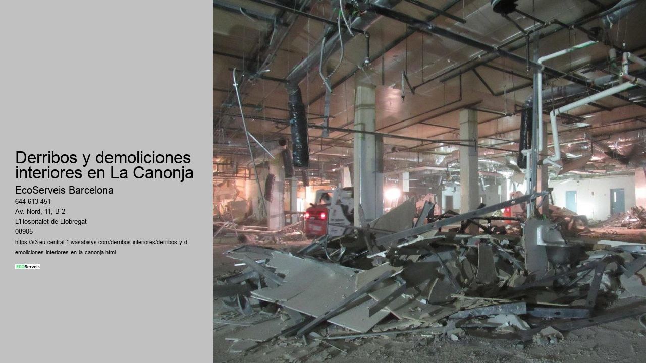 Derribos y demoliciones interiores en La Canonja