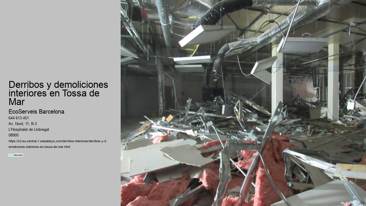 Derribos y demoliciones interiores en Tossa de Mar