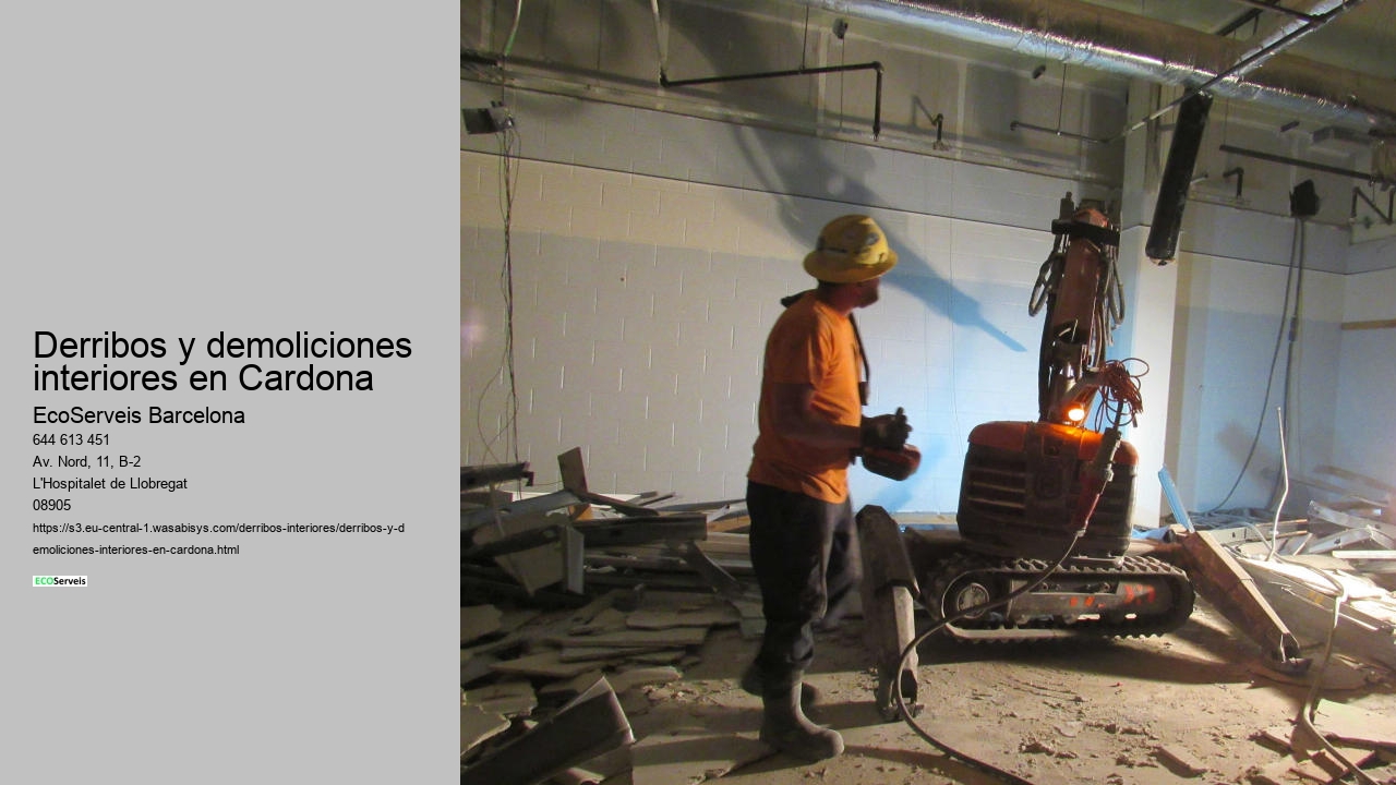 Derribos y demoliciones interiores en Cardona