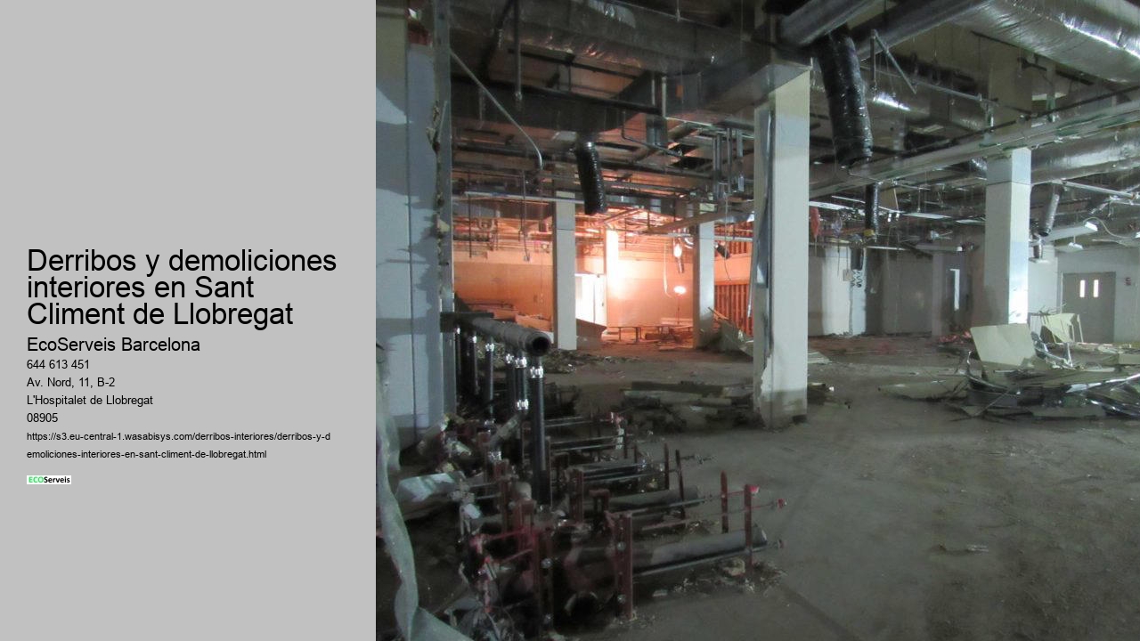 Derribos y demoliciones interiores en Sant Climent de Llobregat