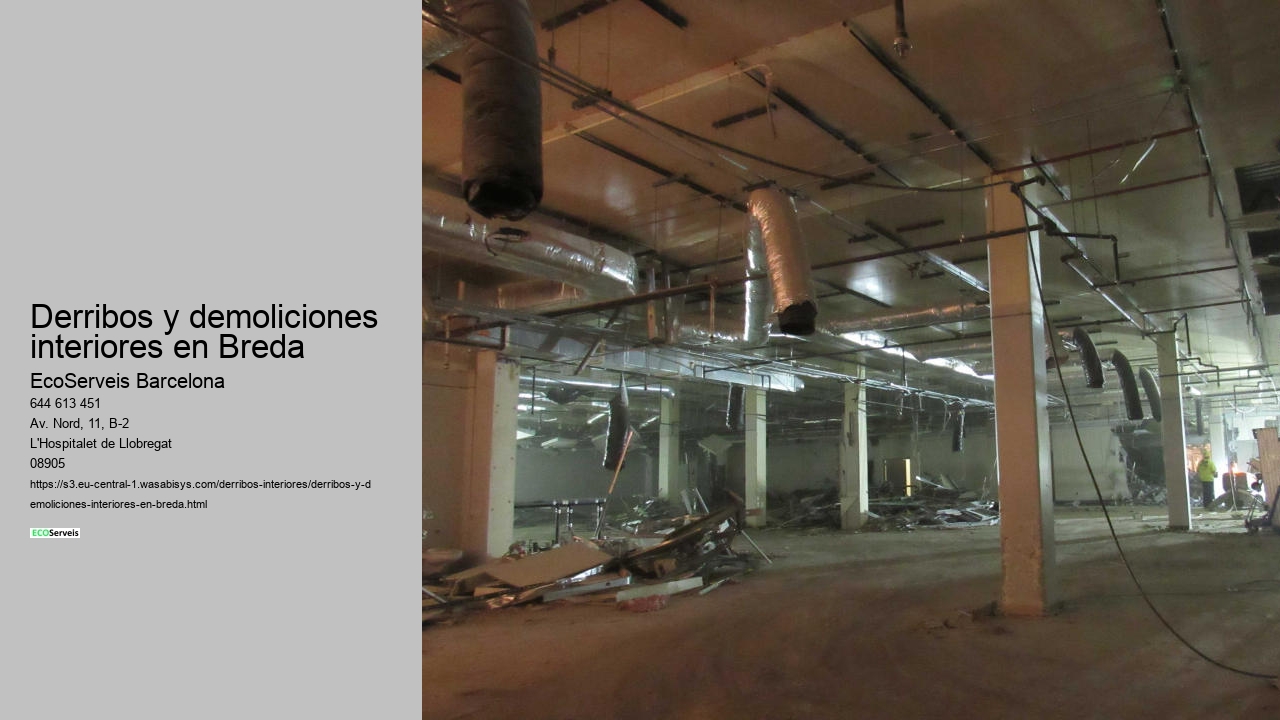 Derribos y demoliciones interiores en Breda