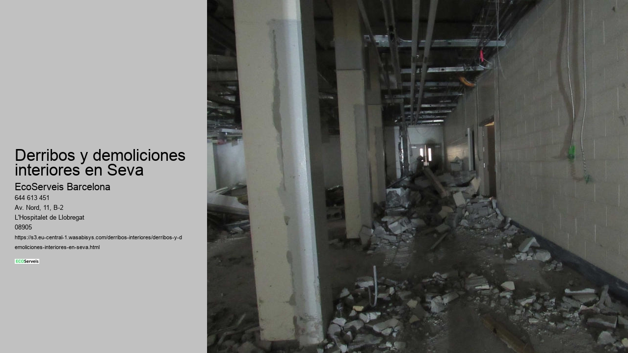 Derribos y demoliciones interiores en Seva