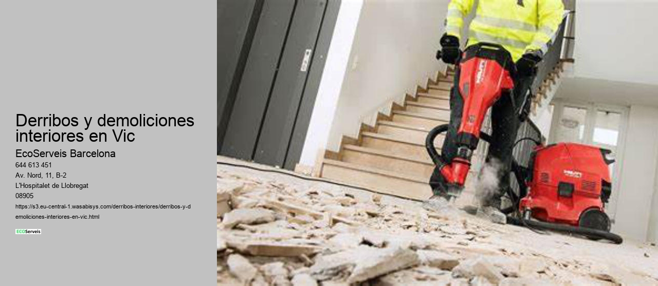 Derribos y demoliciones interiores en Vic