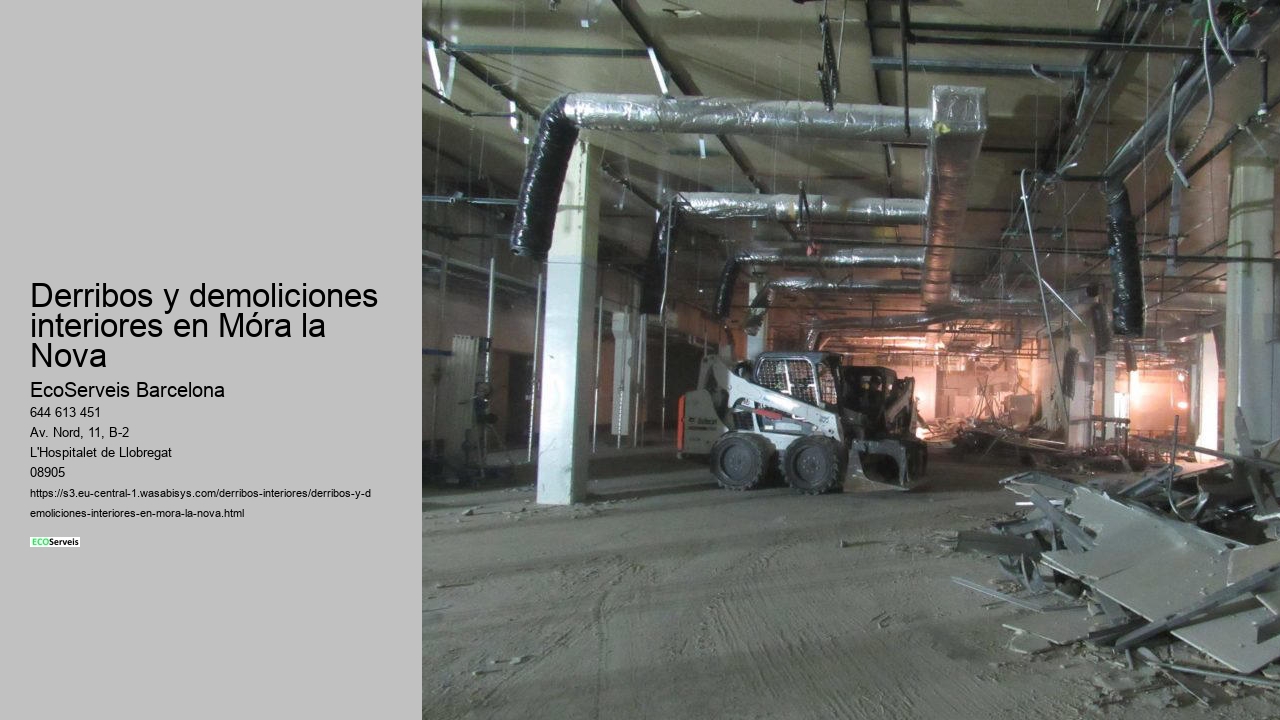 Derribos y demoliciones interiores en Móra la Nova