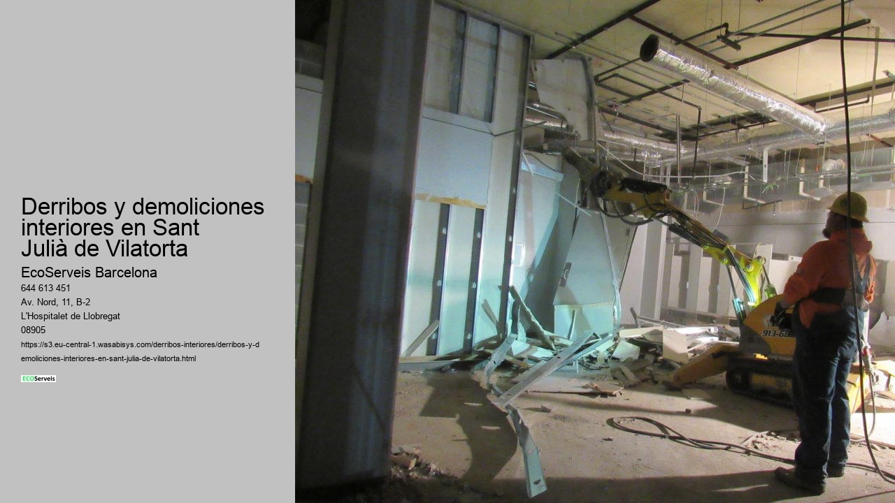 Derribos y demoliciones interiores en Sant Julià de Vilatorta