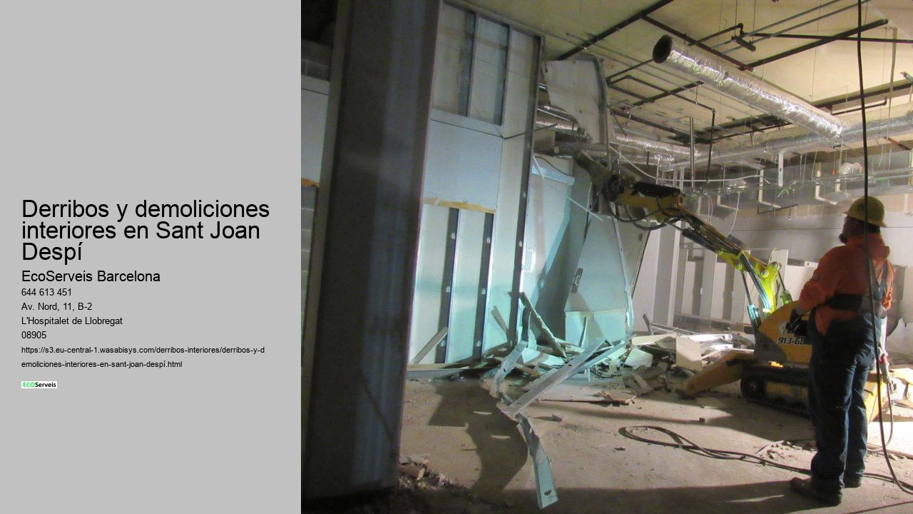 Derribos y demoliciones interiores en Sant Joan Despí