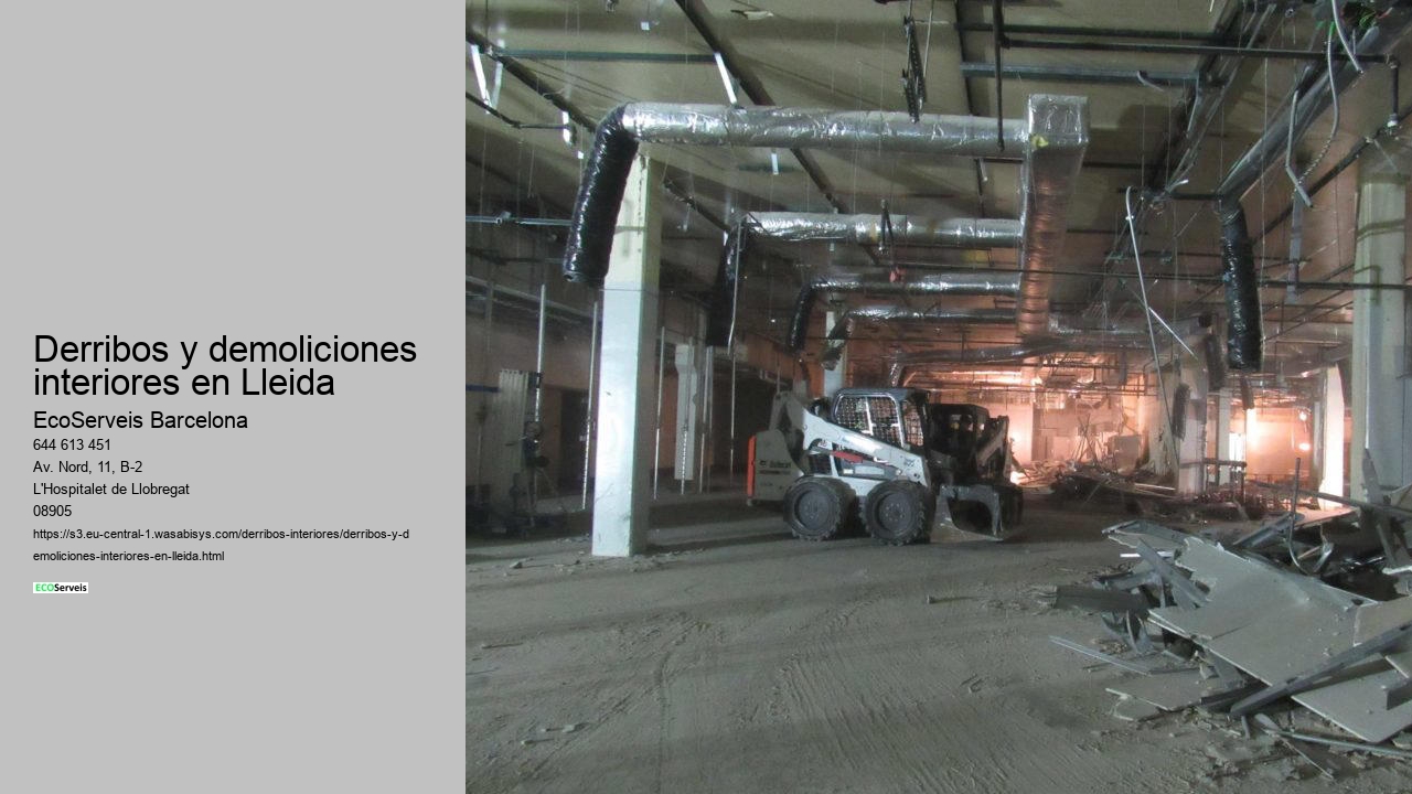 Derribos y demoliciones interiores en Lleida