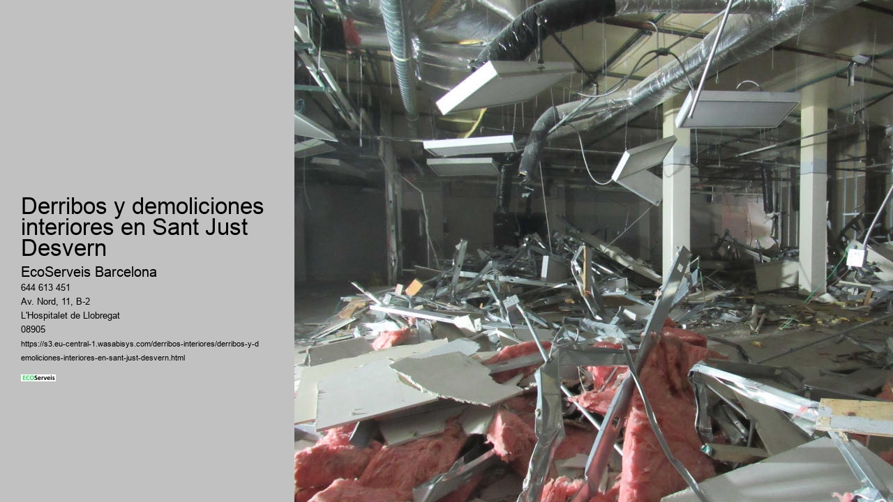 Derribos y demoliciones interiores en Sant Just Desvern