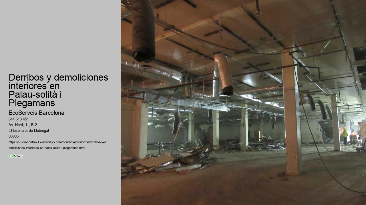 Derribos y demoliciones interiores en Palau-solità i Plegamans