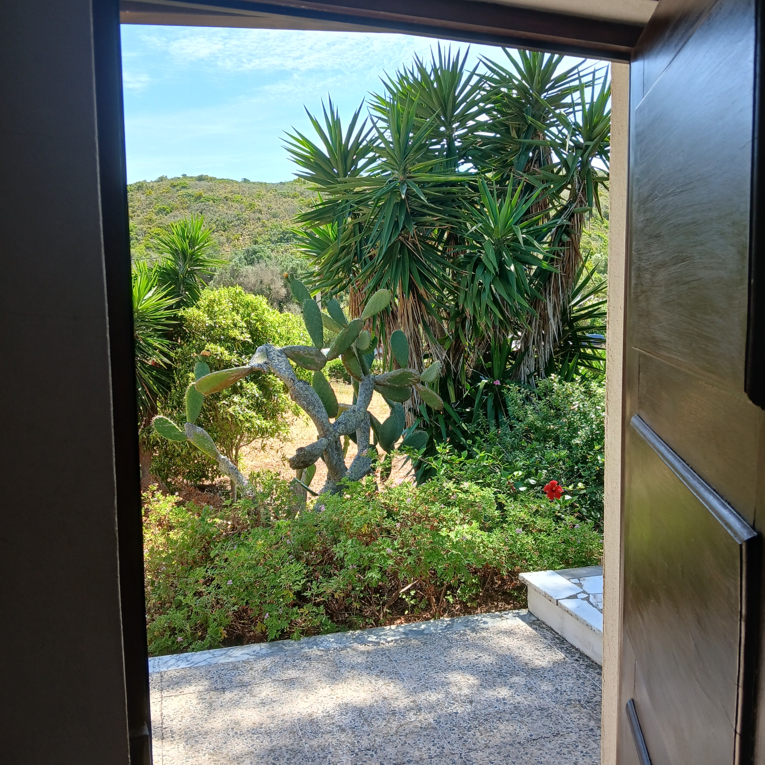 View from the door🚪