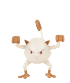 Het is kerst, eerste luikje mag open