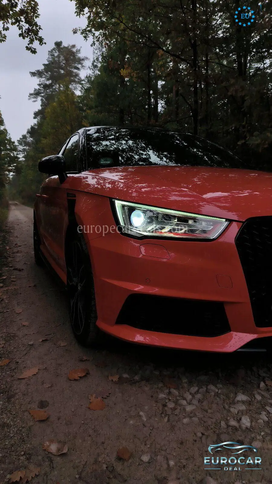 Audi S1