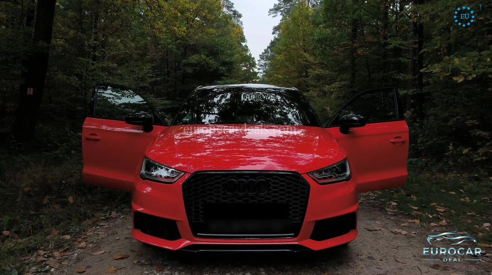 Audi S1