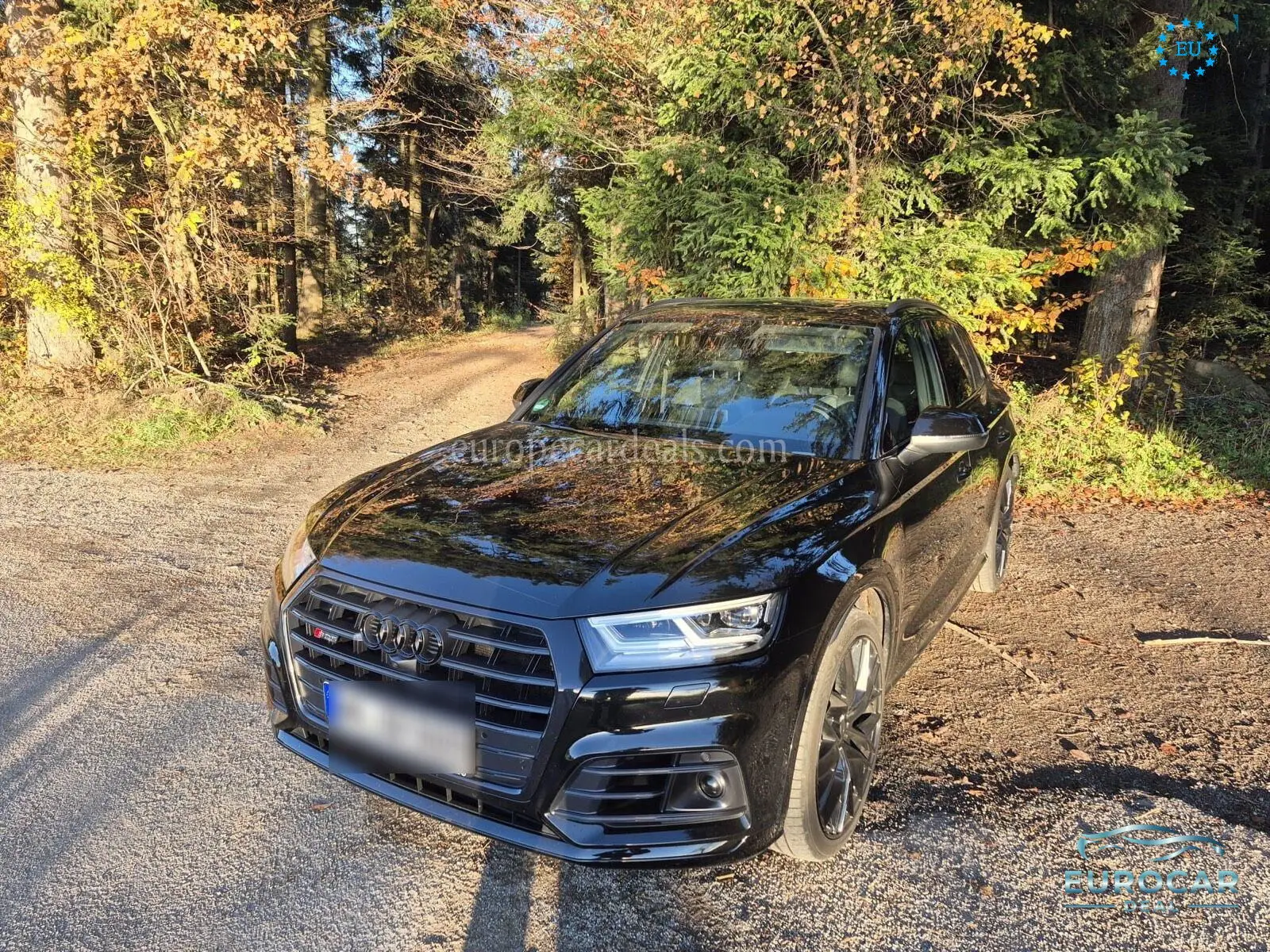 Audi SQ5