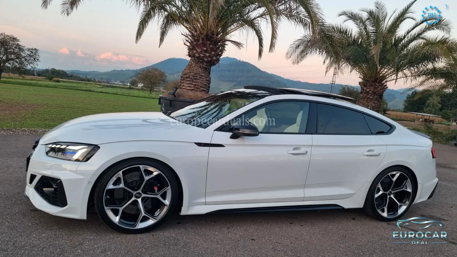 Audi RS5