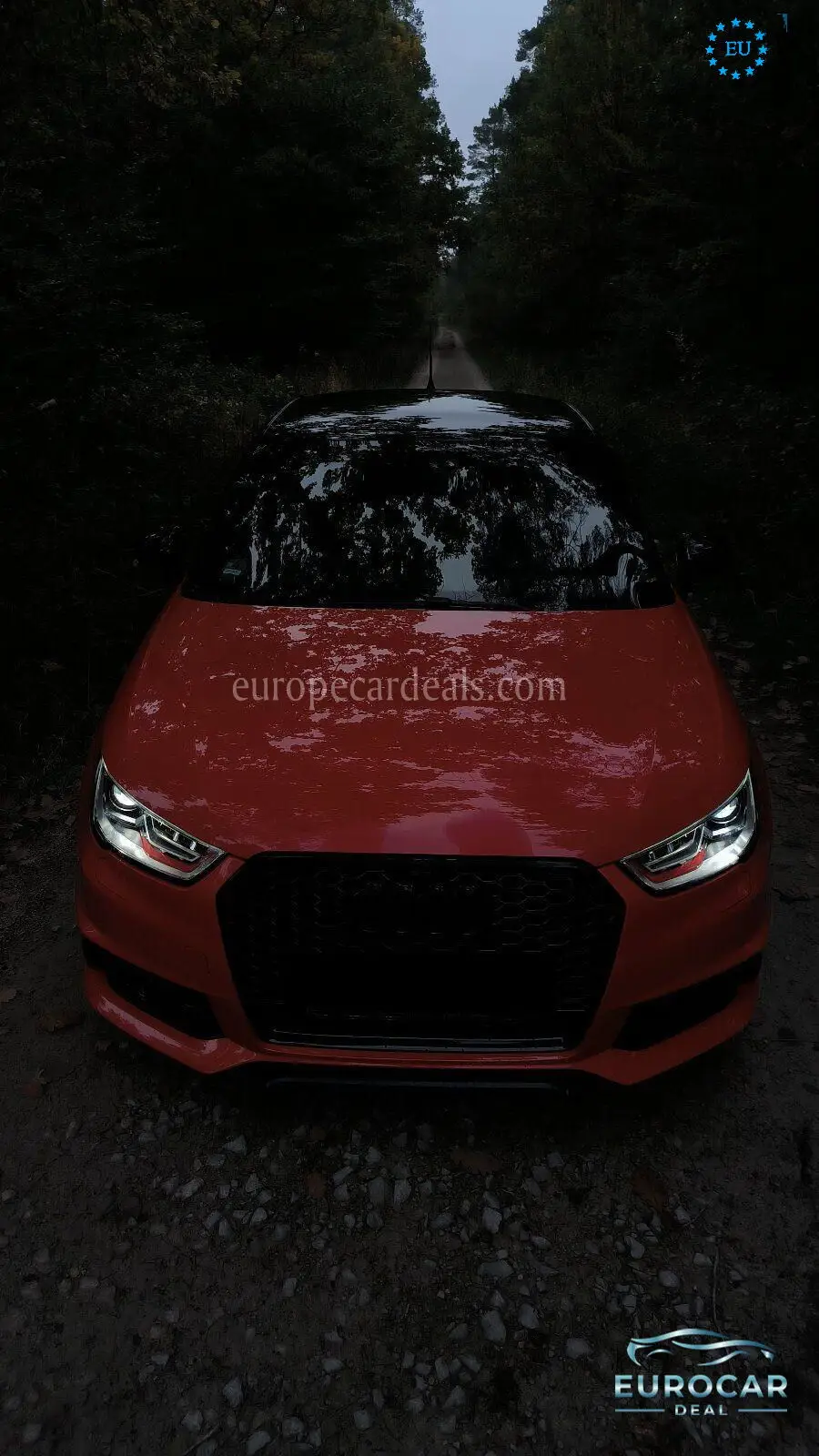 Audi S1