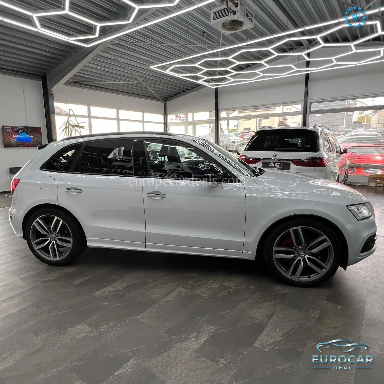 Audi SQ5
