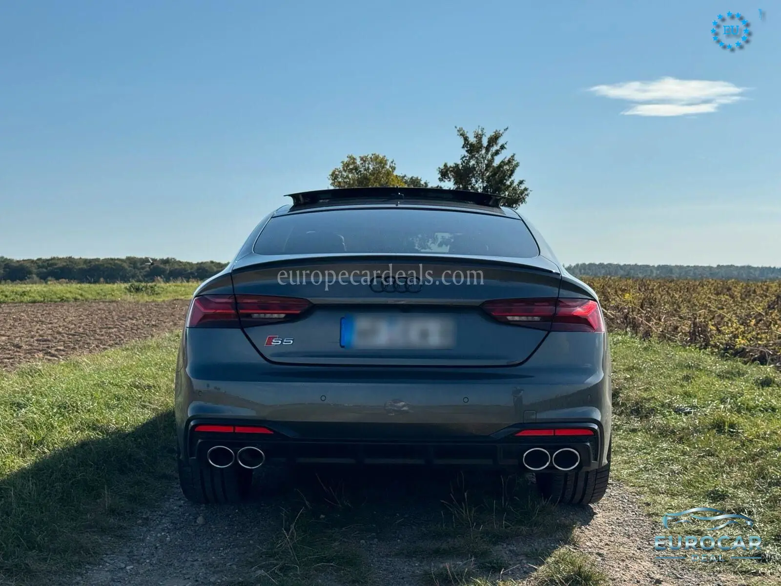 Audi S5