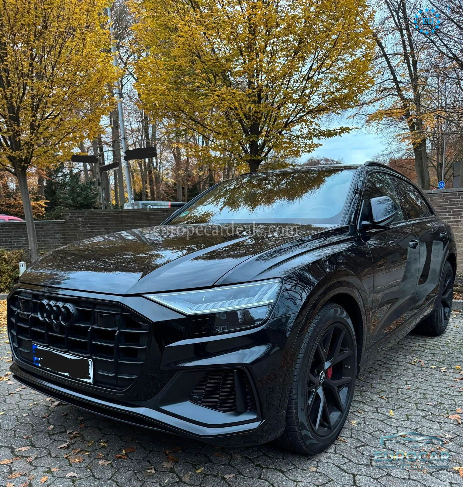 Audi Q8