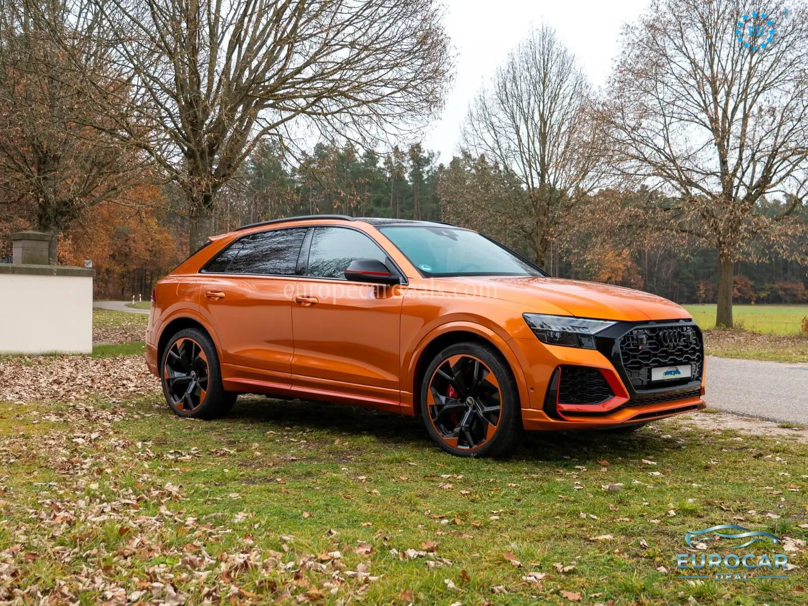 Audi RSQ8