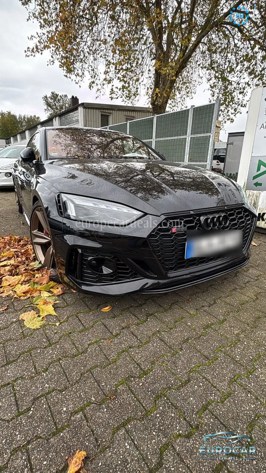 Audi RS5