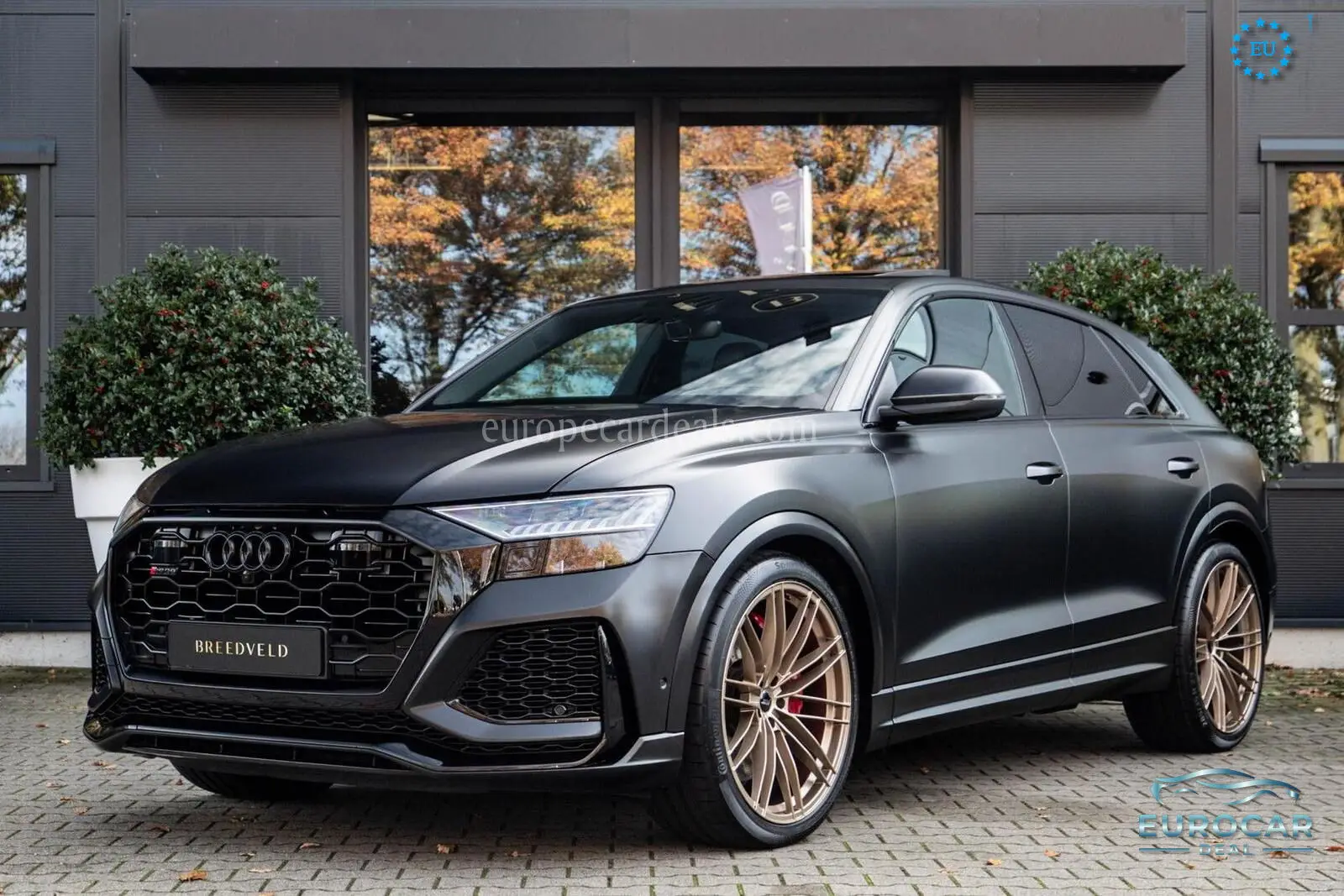 Audi RSQ8