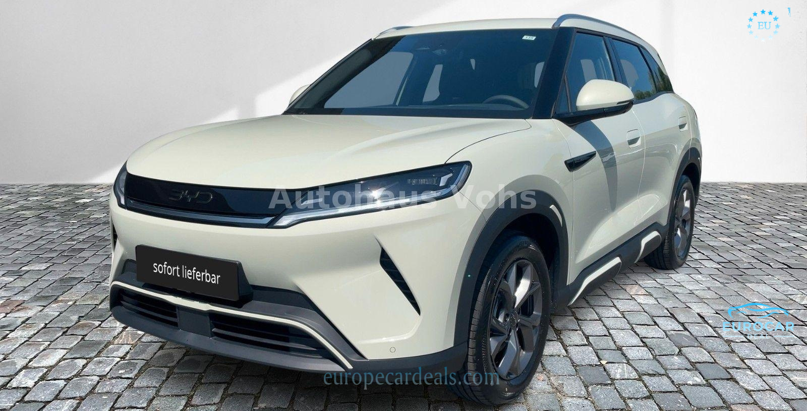 BYD ATTO 2