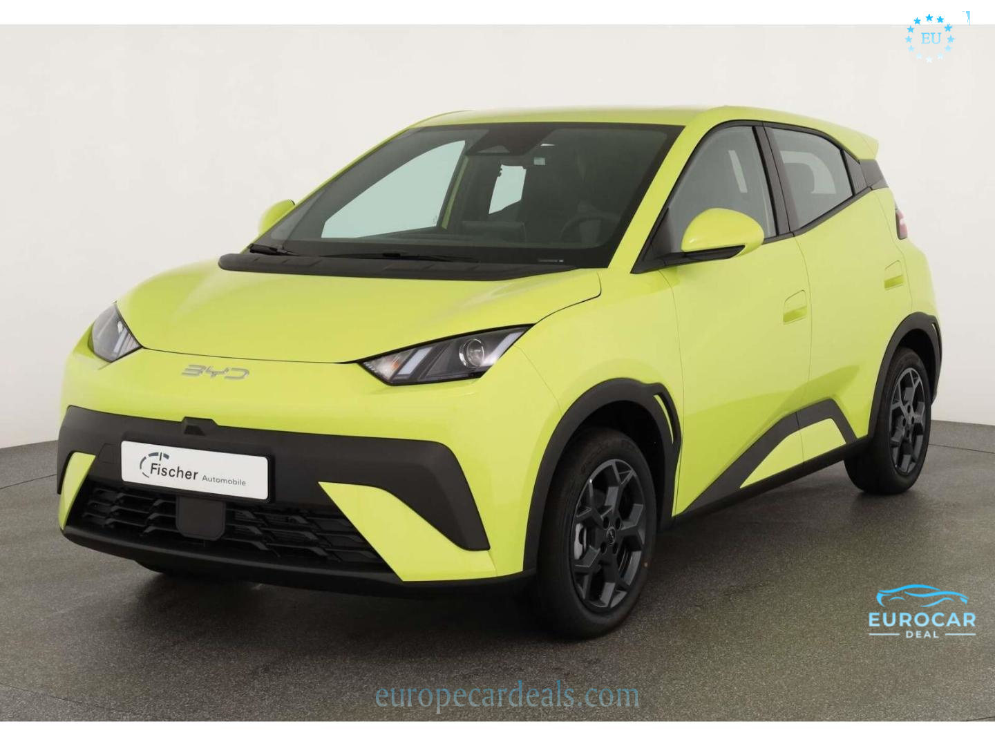 BYD DOLPHIN