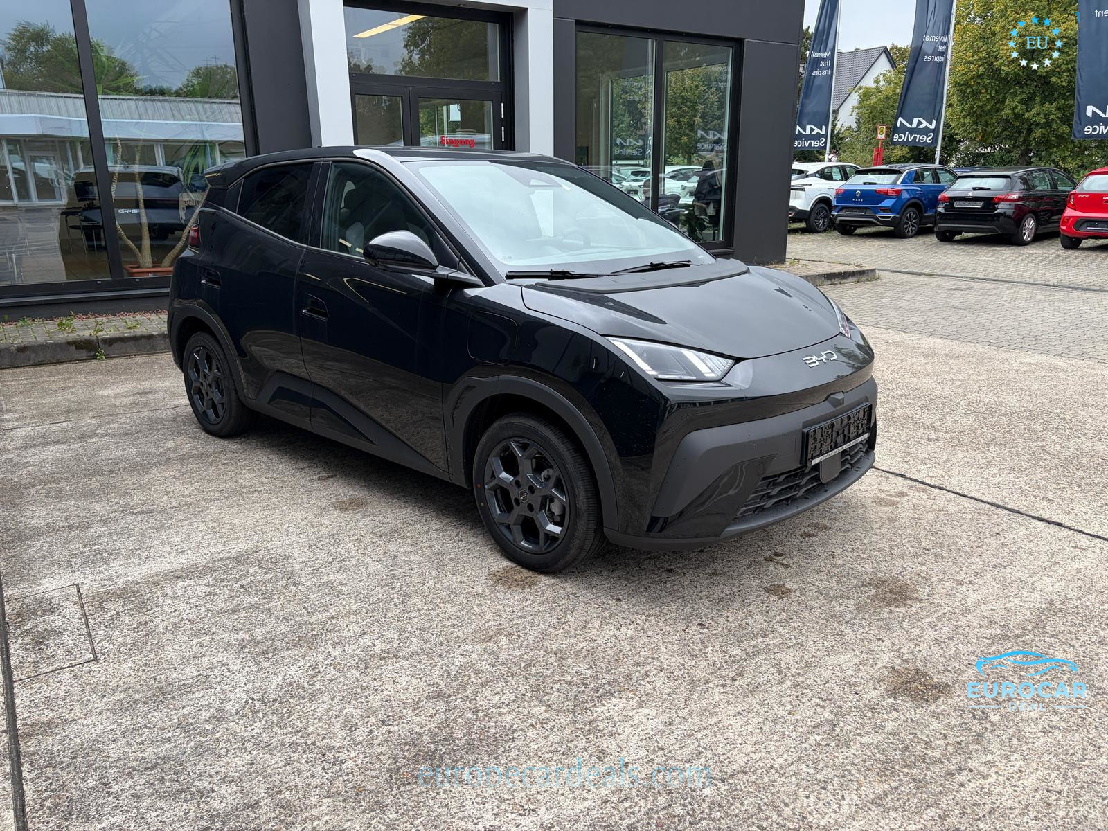 BYD DOLPHIN