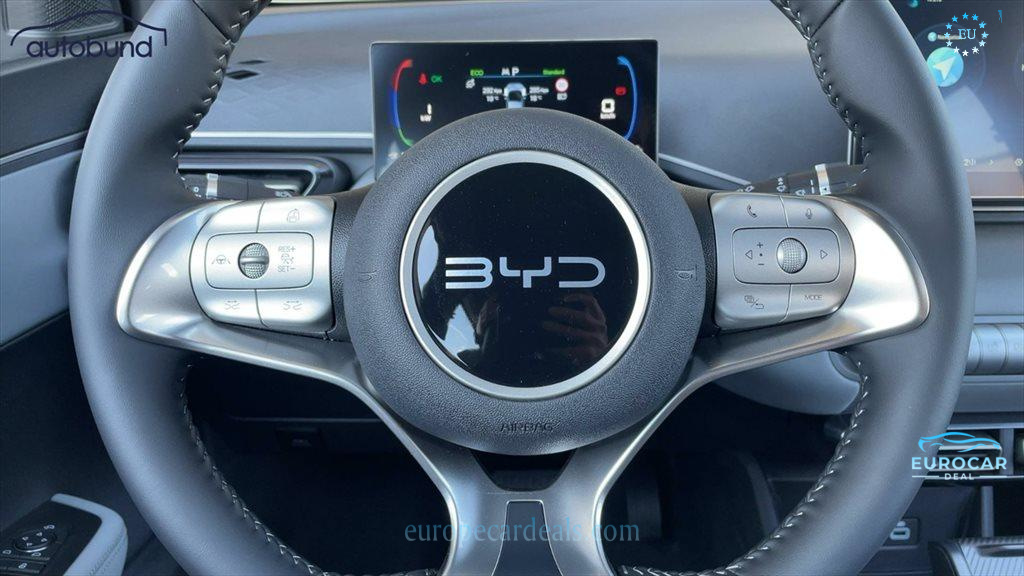 BYD DOLPHIN