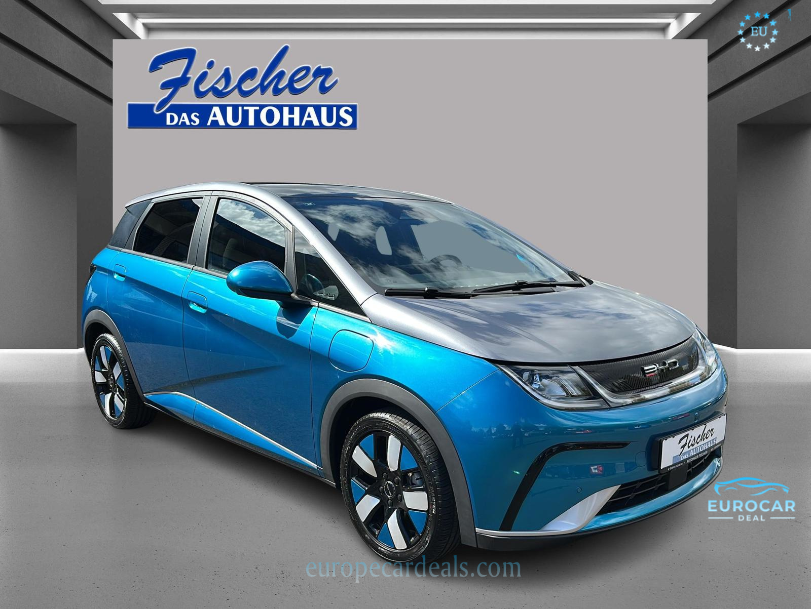 BYD DOLPHIN