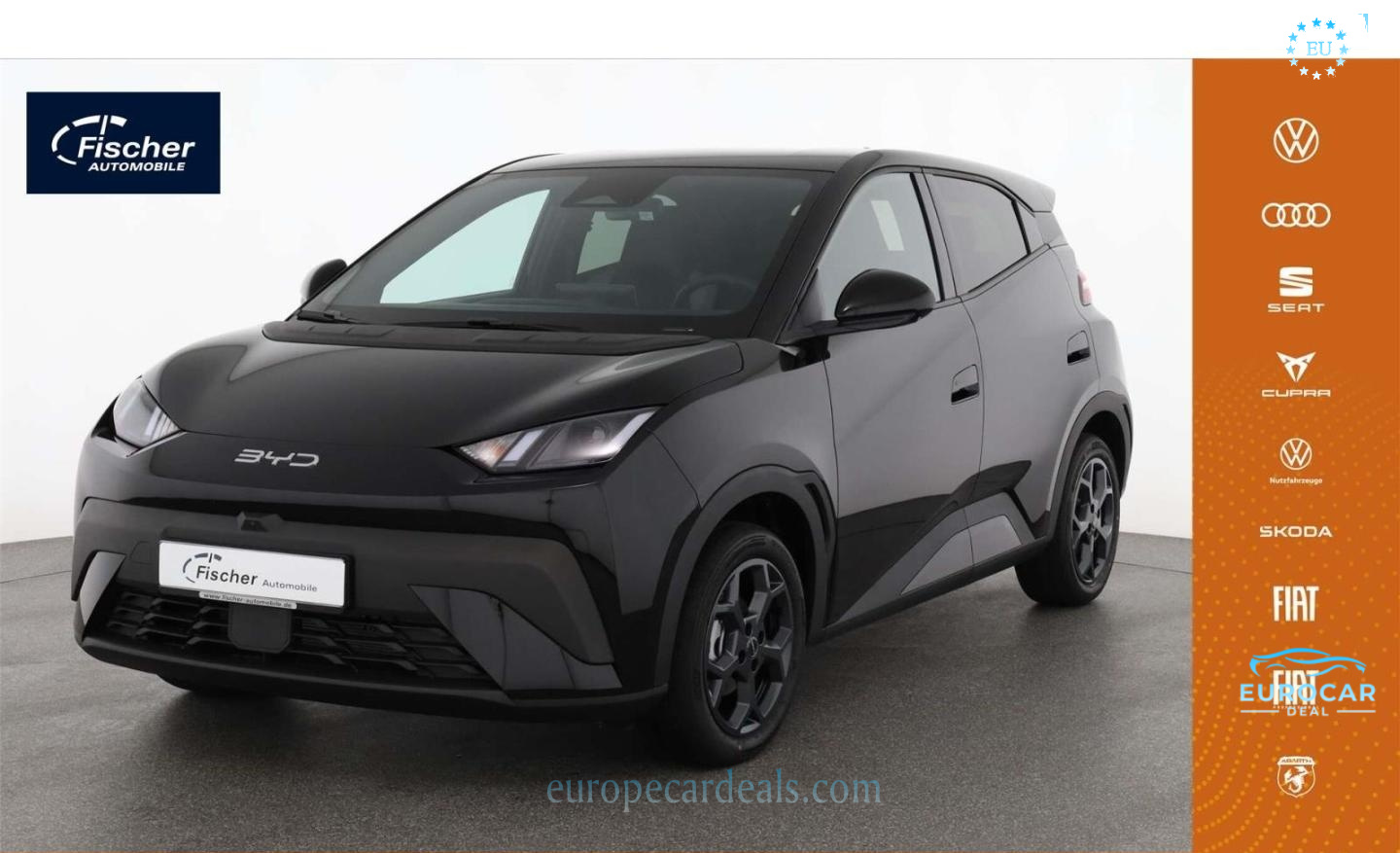 BYD DOLPHIN