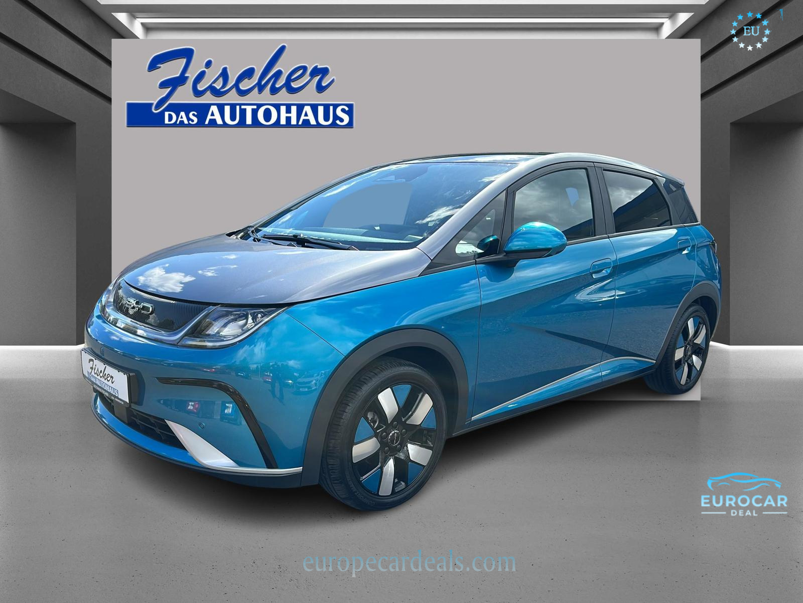 BYD DOLPHIN