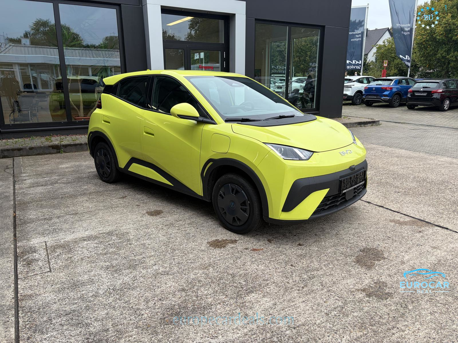 BYD DOLPHIN