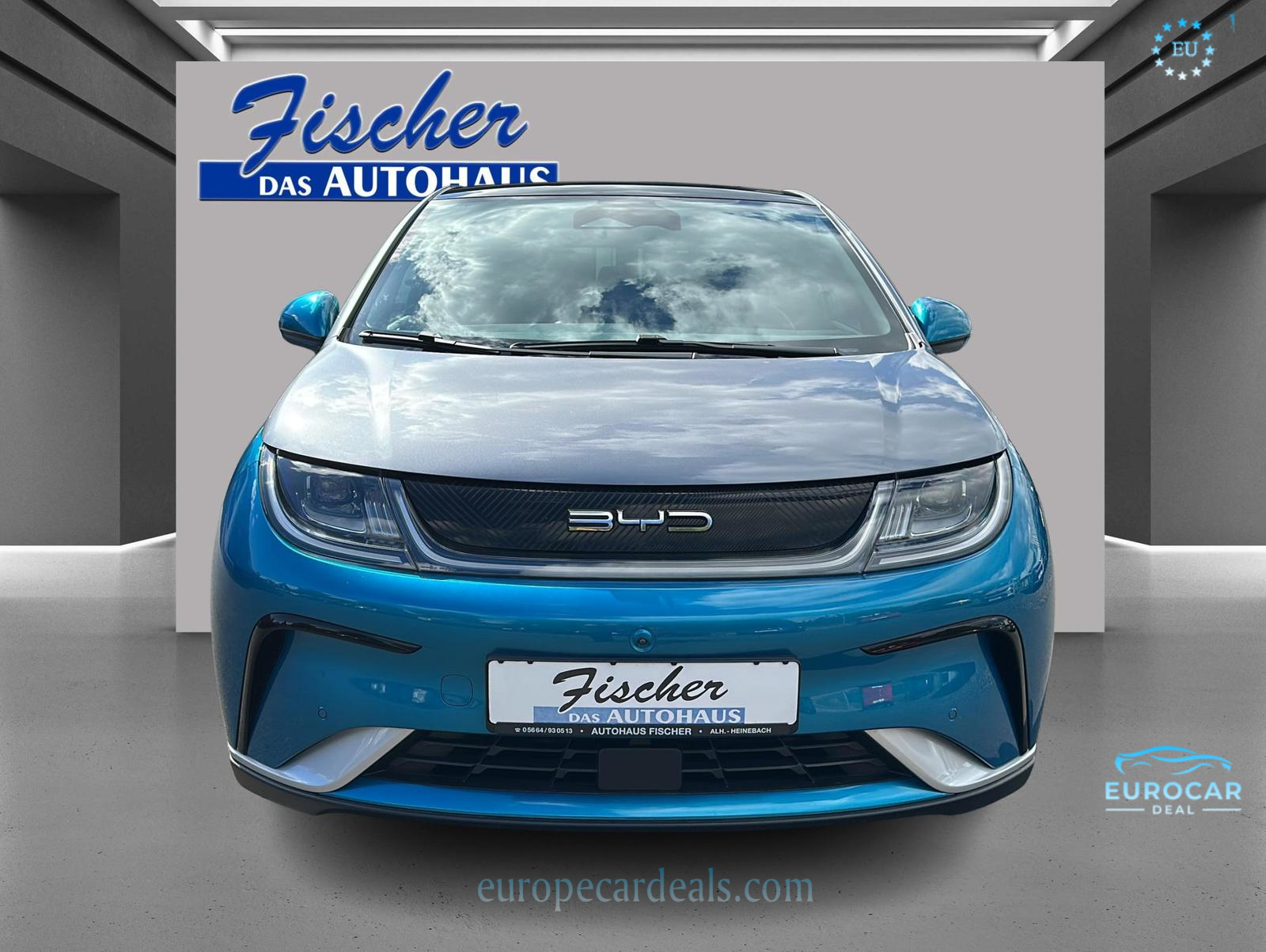 BYD DOLPHIN