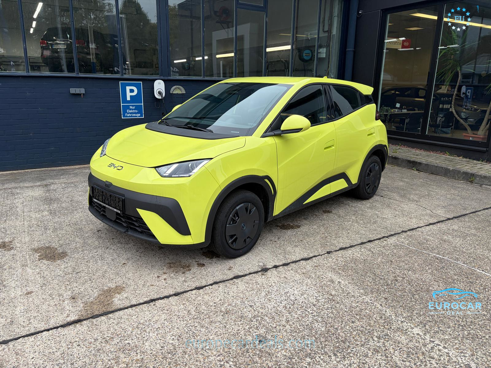 BYD DOLPHIN
