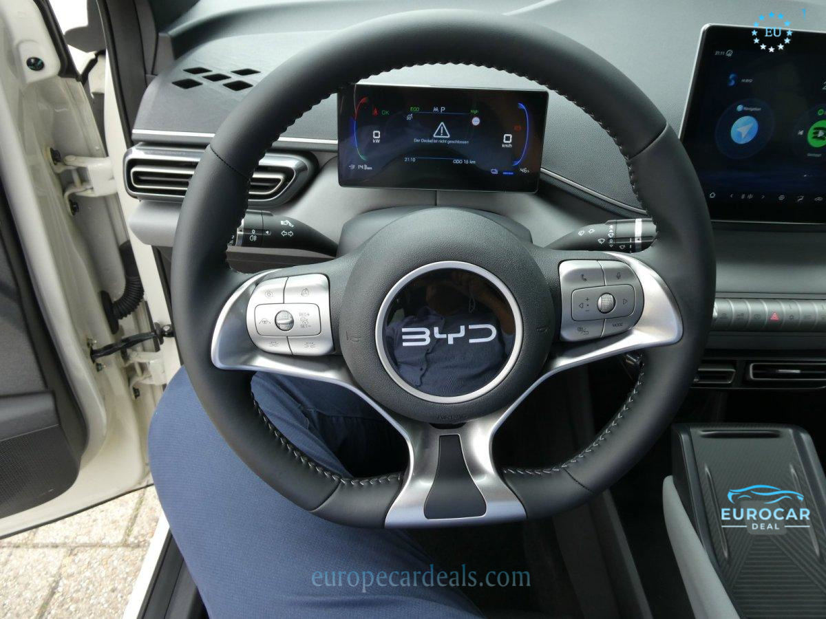 BYD DOLPHIN