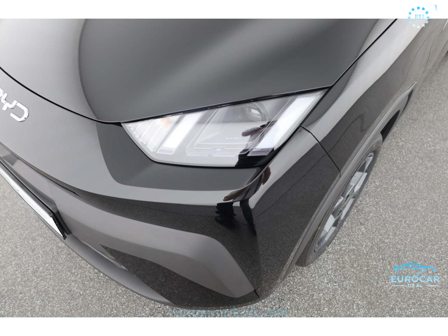 BYD DOLPHIN