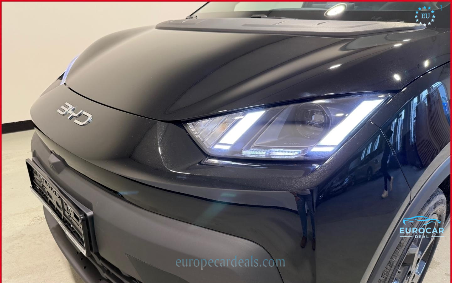 BYD DOLPHIN