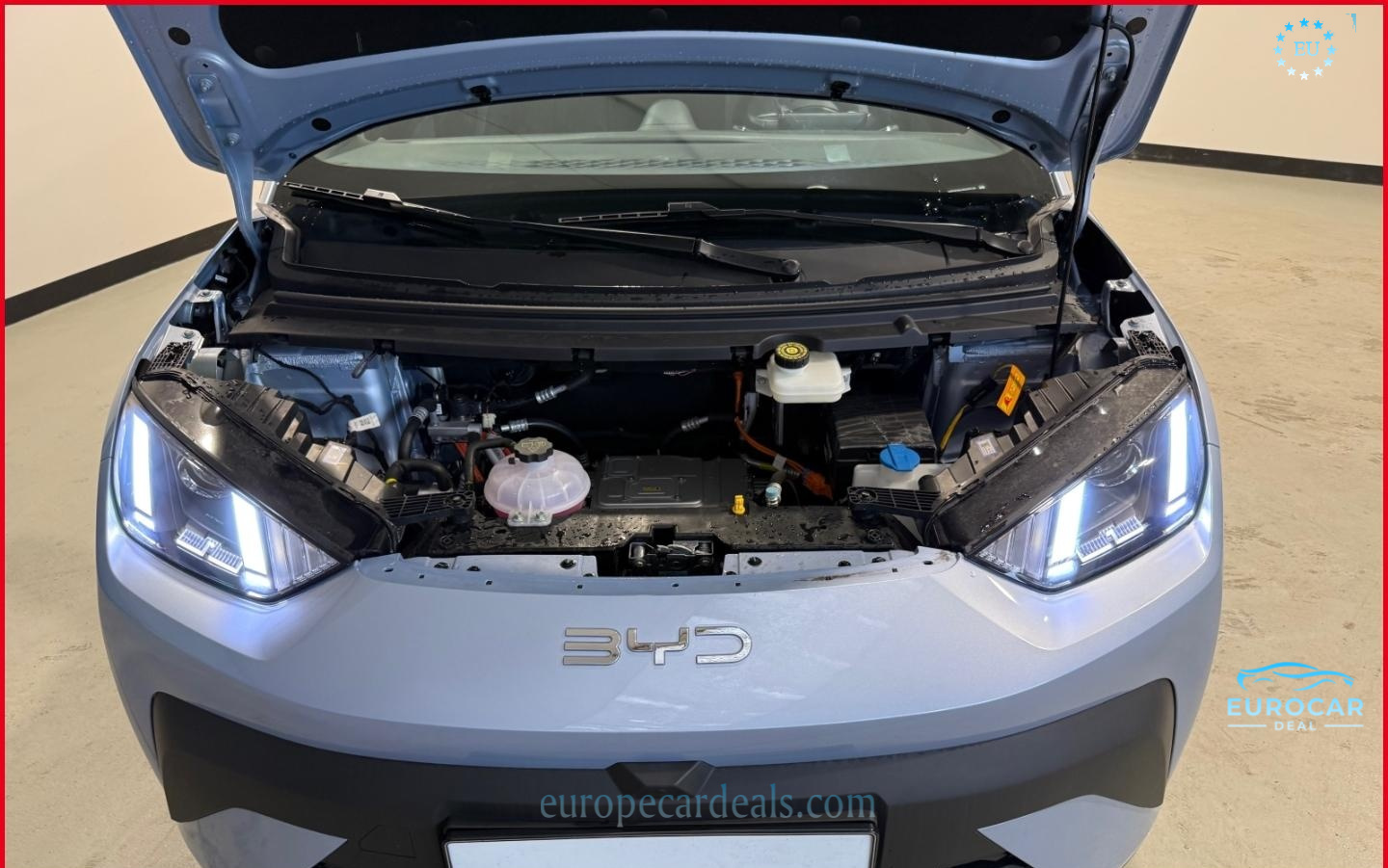 BYD DOLPHIN