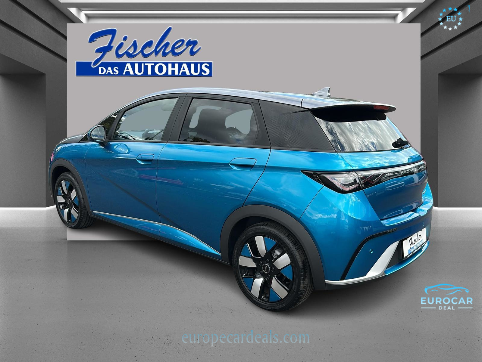 BYD DOLPHIN