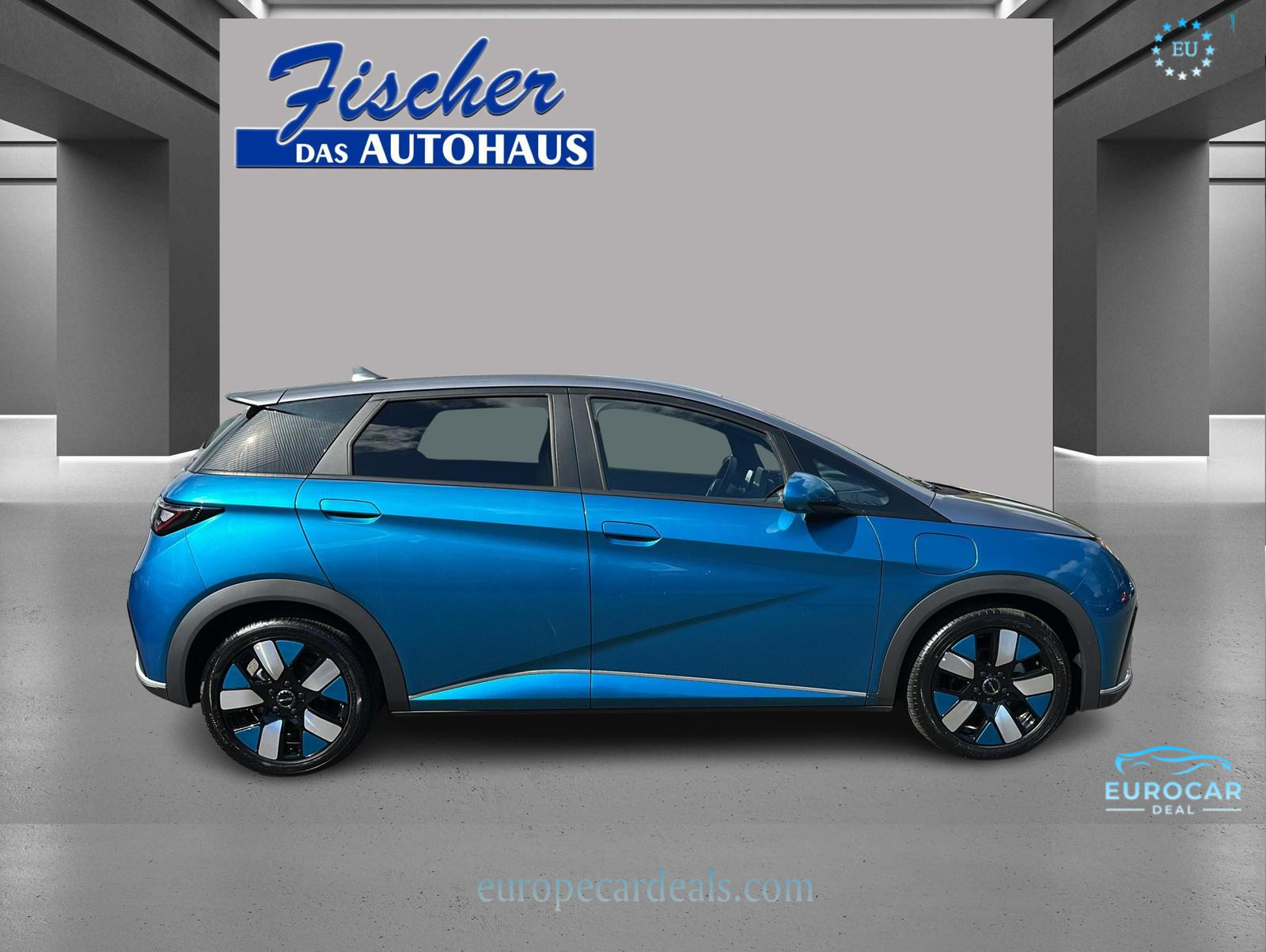 BYD DOLPHIN