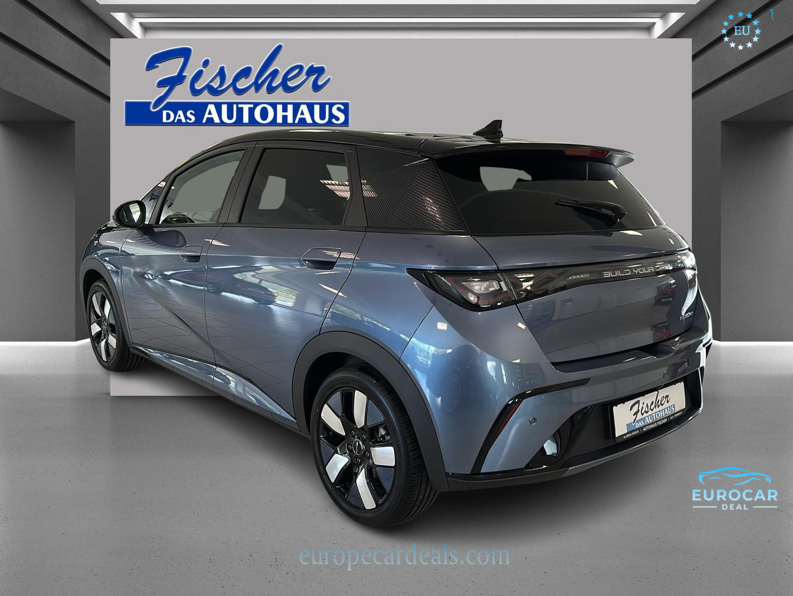 BYD DOLPHIN