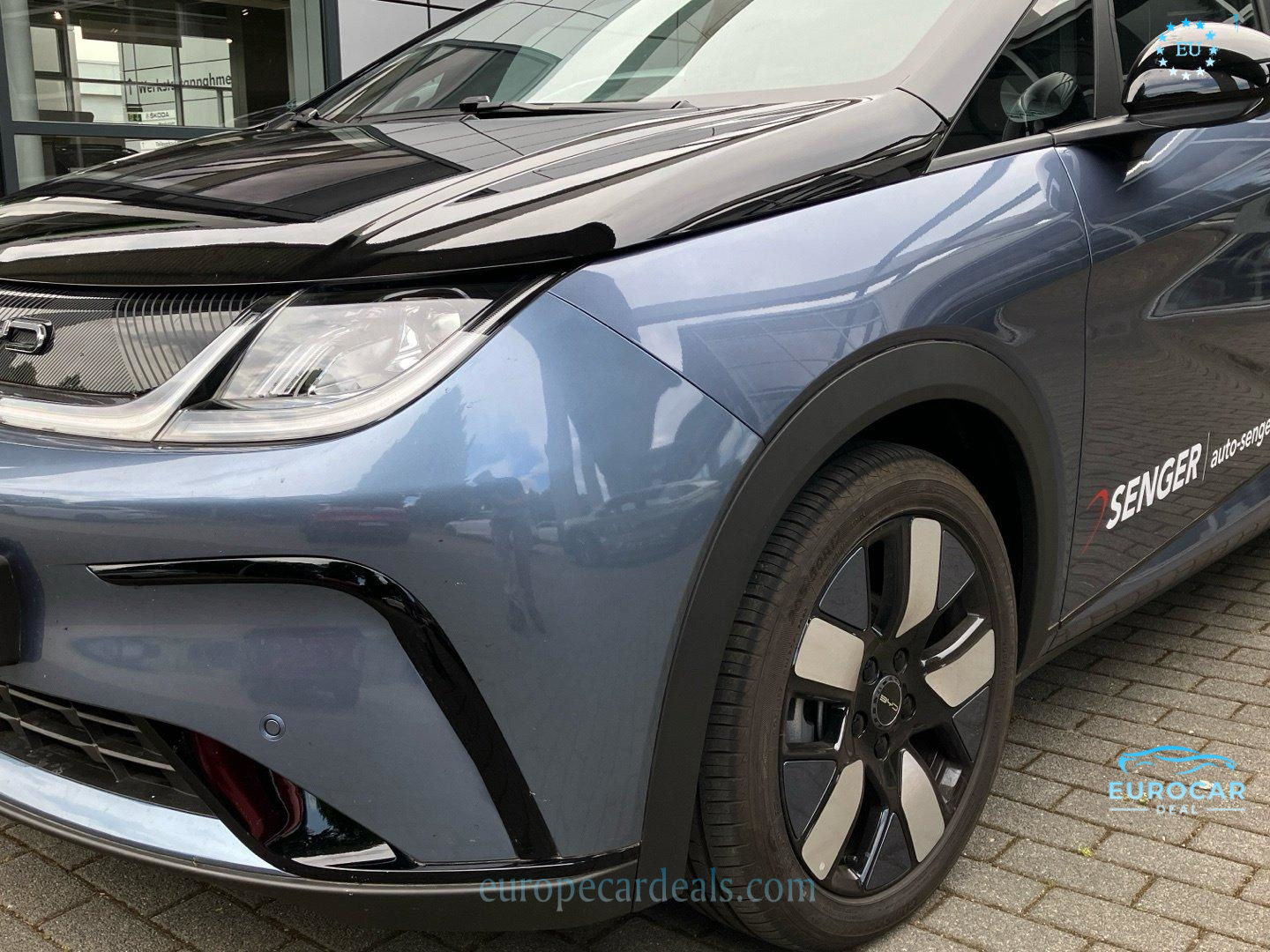 BYD DOLPHIN