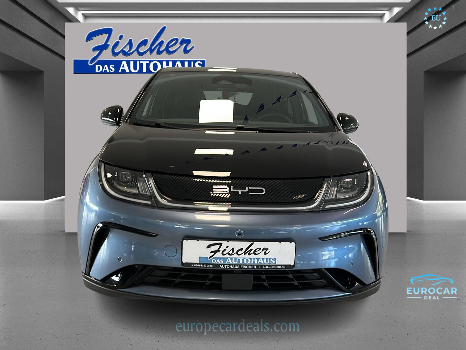 BYD DOLPHIN